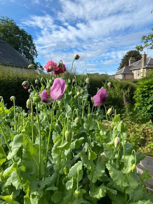 Glenburn, Fochabers Eksteriør billede